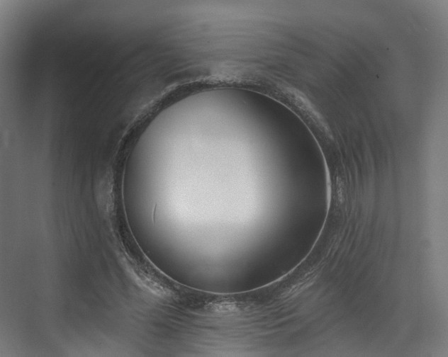 X0000074960588200609011148