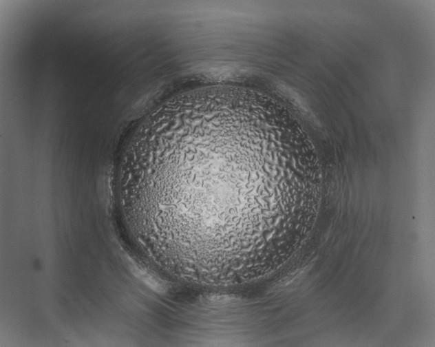 X0000074960590200609011148