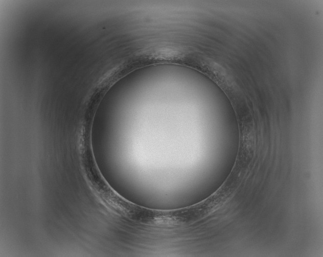 X0000074960591200609011148