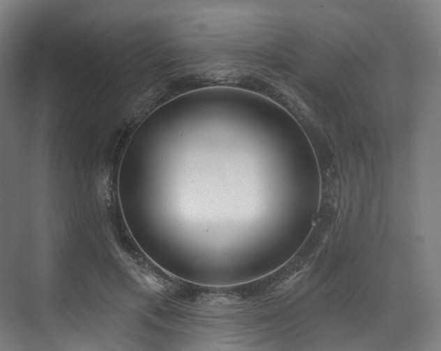 X0000074960597200609011148