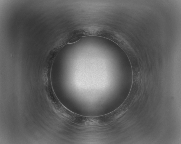 X0000074960599200609011148