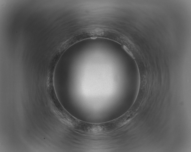 X0000074960600200609011148