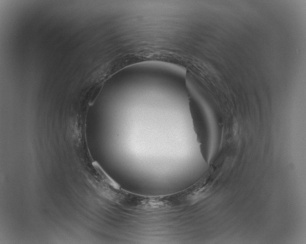 X0000074960607200609011148