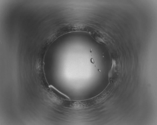 X0000074960608200609011148