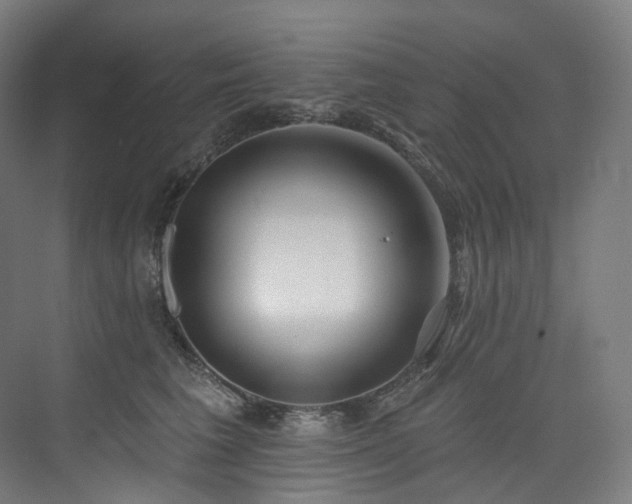 X0000074960613200609011148