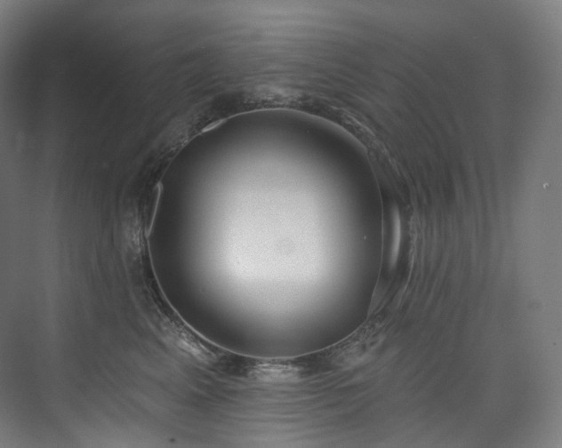 X0000074960617200609011148