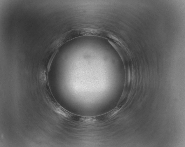 X0000074960621200609011148