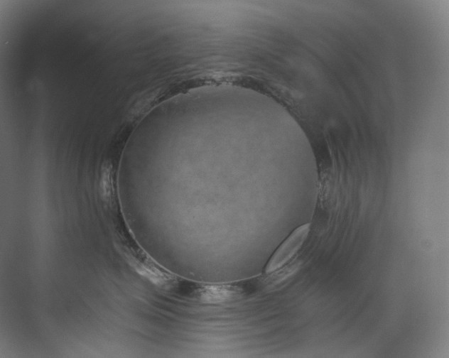X0000074960623200609011148