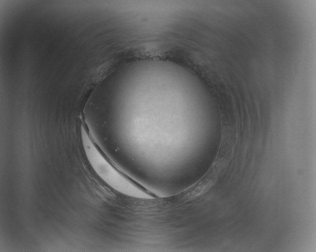 X0000074960624200609011148