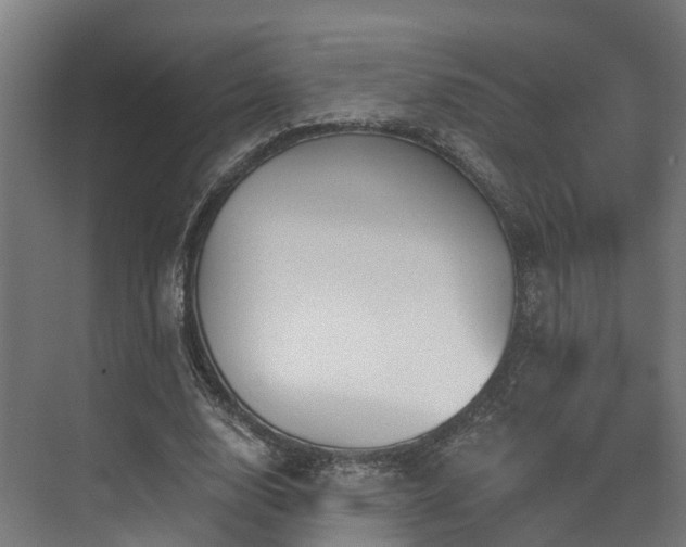 X0000074960632200609011147