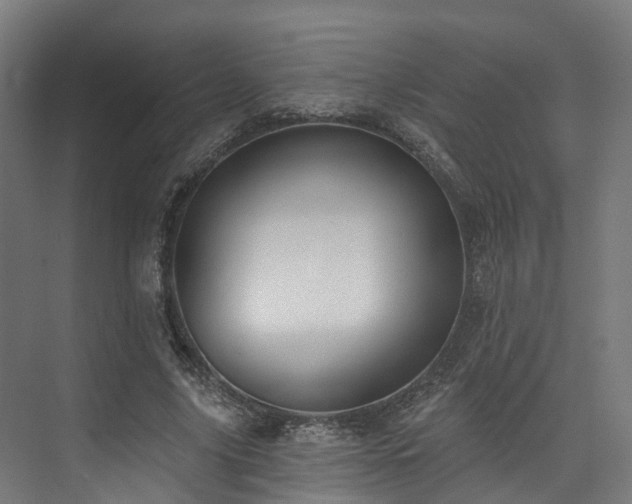 X0000074960635200609011147