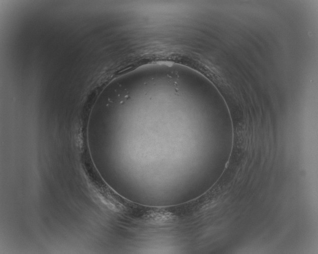 X0000074960642200609011147