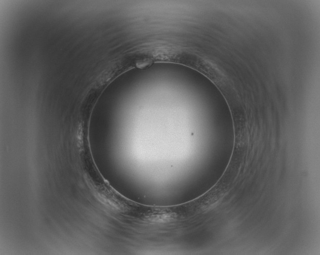 X0000074960646200609011147
