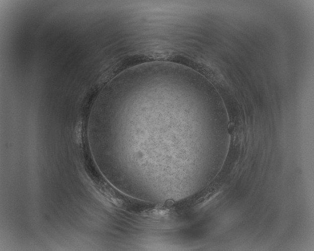 X0000074960647200609011147