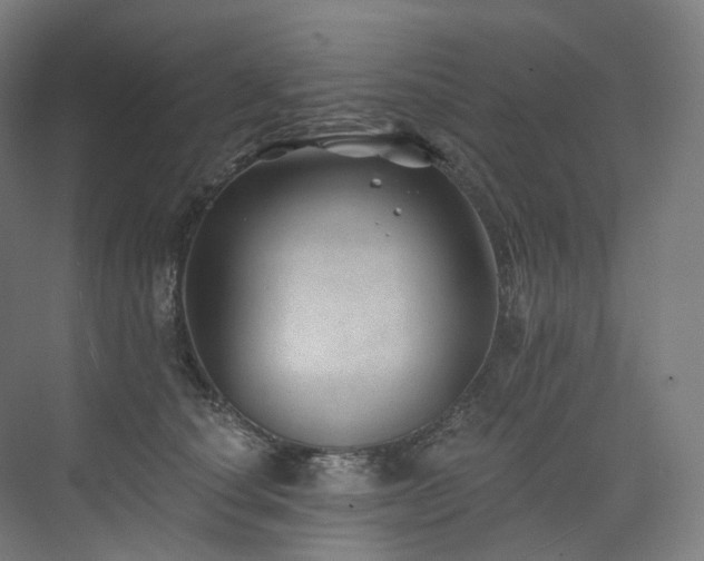 X0000074960660200609011148