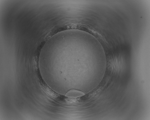 X0000074960661200609011148