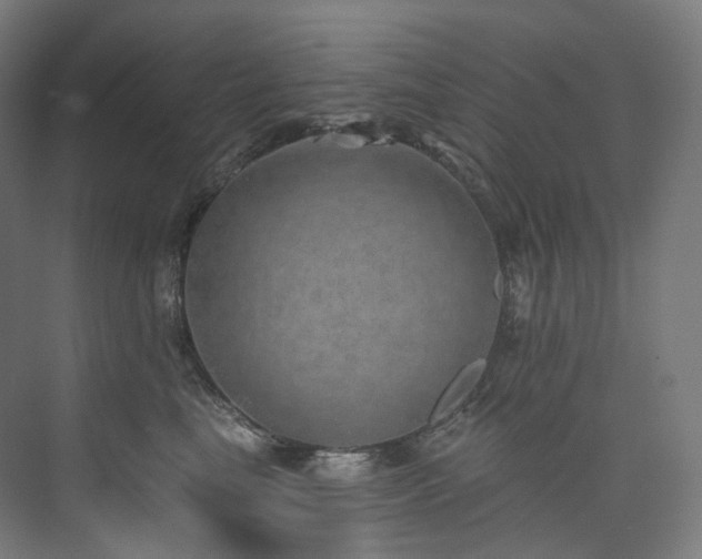 X0000074960665200609011148