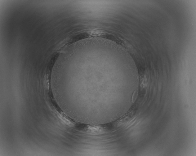 X0000074960666200609011148
