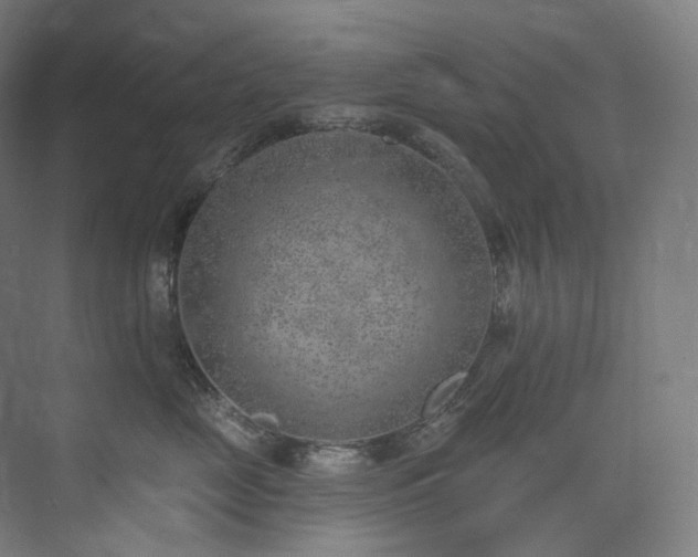 X0000074960669200609011148
