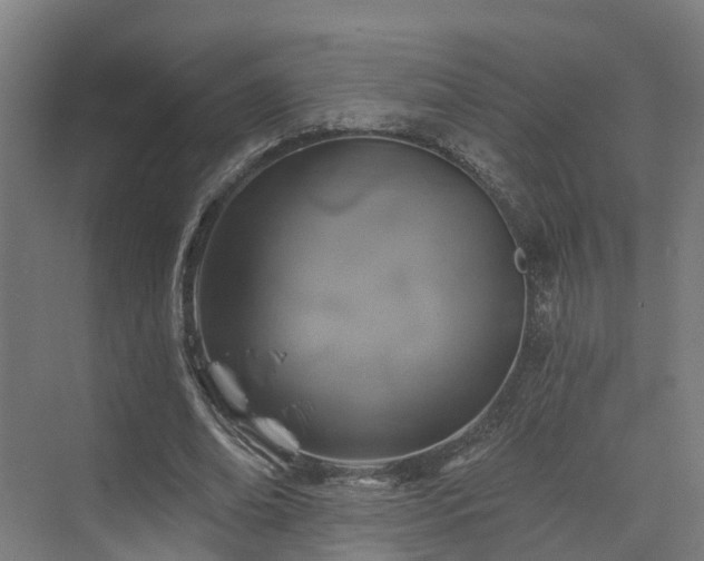 X0000074960678200609011147