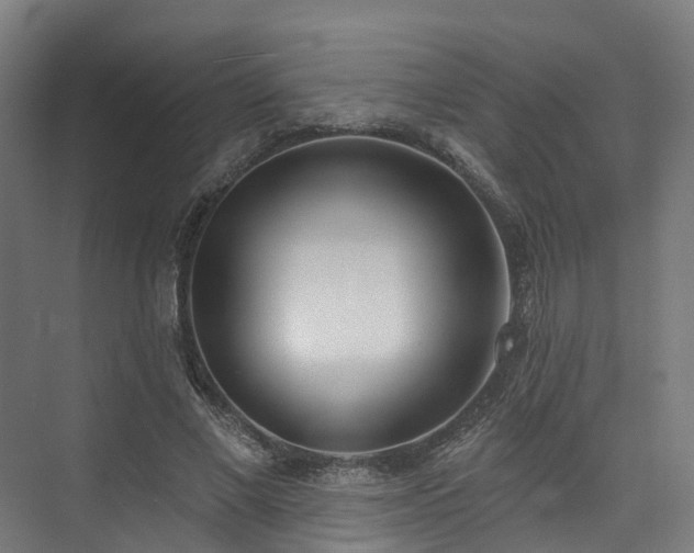 X0000074960685200609011147