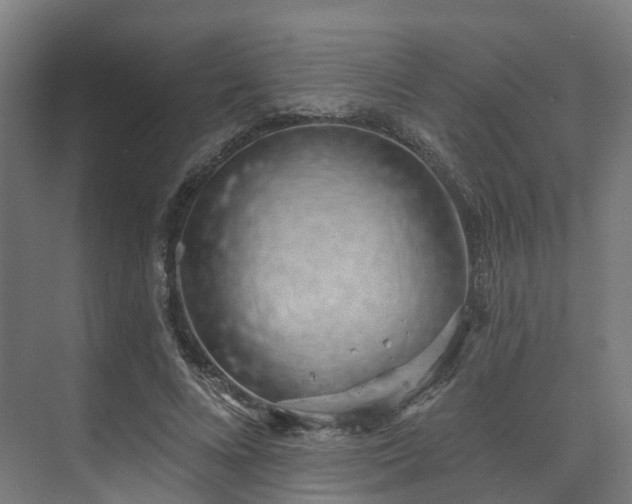 X0000074960688200609011147