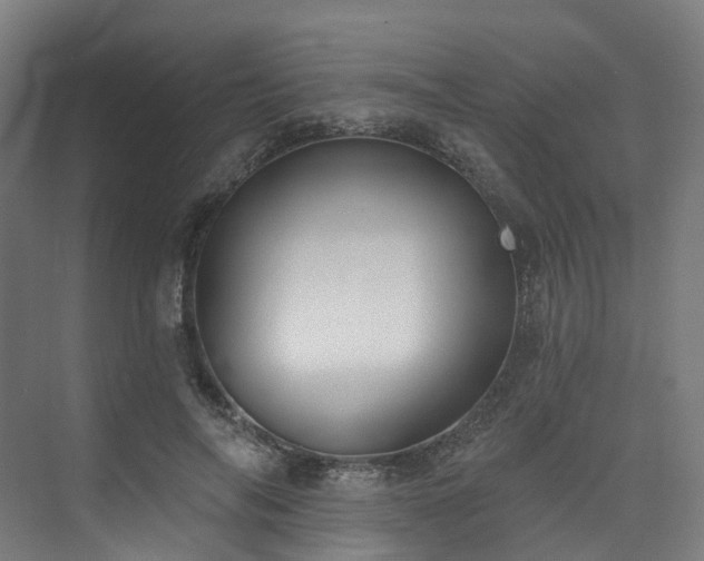 X0000074960694200609011147