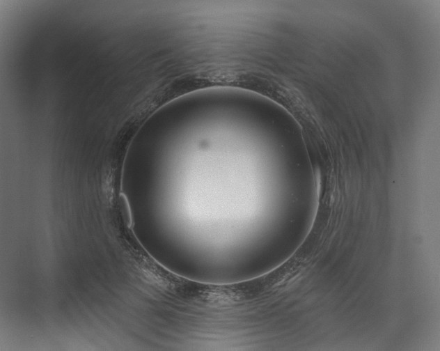 X0000074960697200609011147