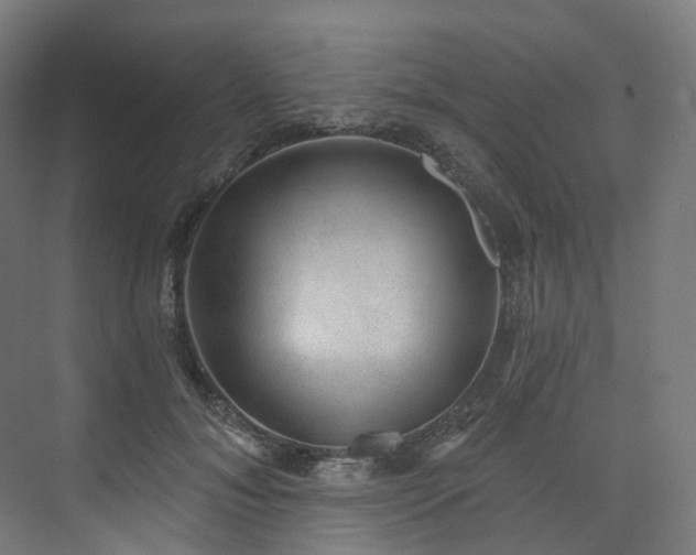 X0000074960700200609011146