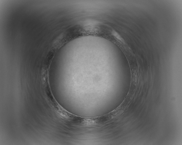X0000074960701200609011146