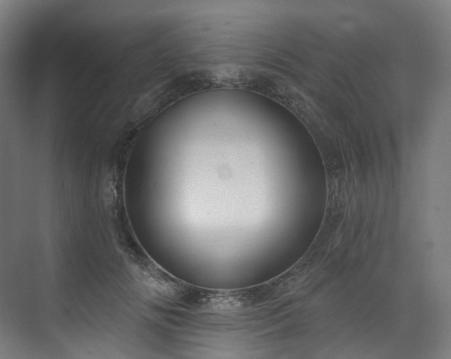 X0000074960702200609011146
