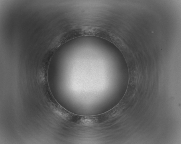 X0000074960706200609011146
