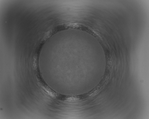 X0000074960708200609011146