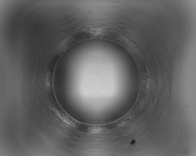 X0000074960710200609011146