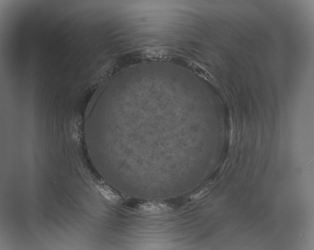 X0000074960712200609011146