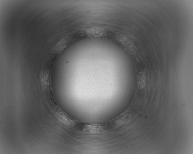 X0000074960713200609011146