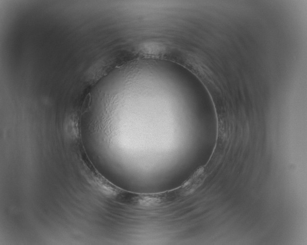 X0000074960718200609011146