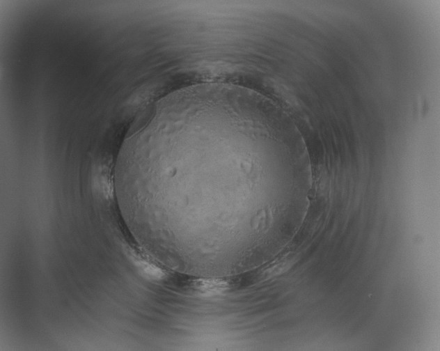 X0000074960719200609011146