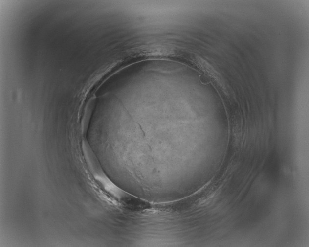 X0000074960721200609011145