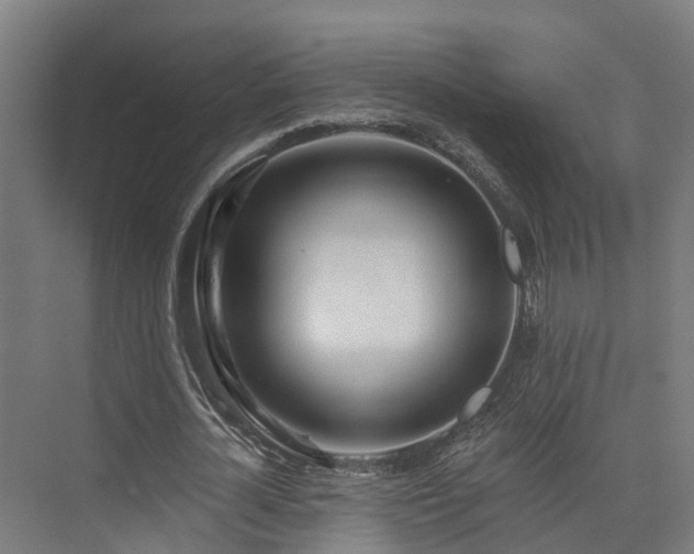 X0000074960724200609011145