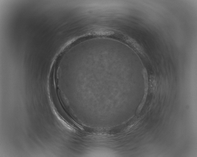 X0000074960726200609011145