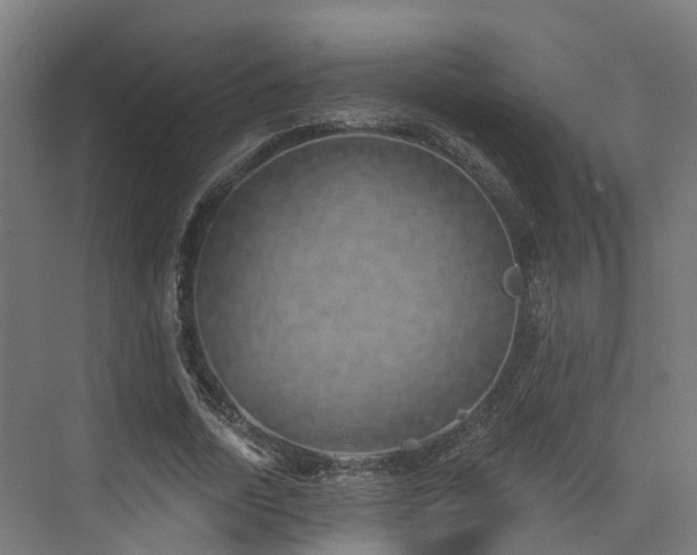 X0000074960730200609011145