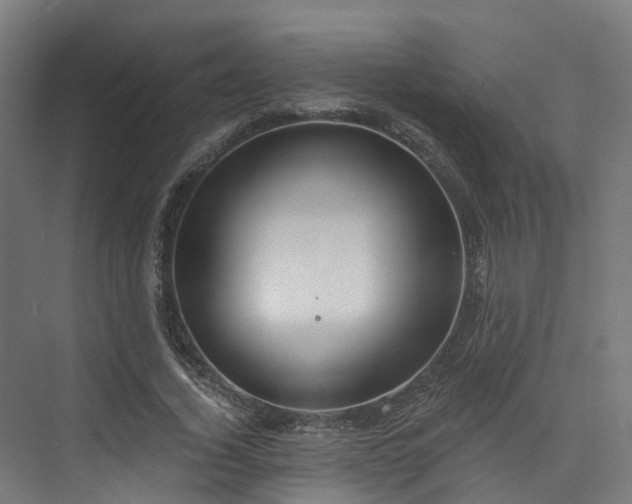 X0000074960732200609011146