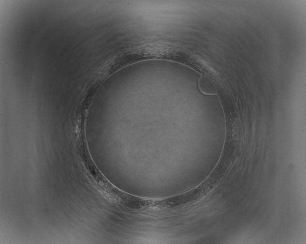 X0000074960737200609011146