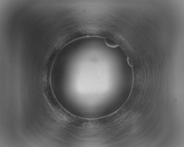 X0000074960739200609011146
