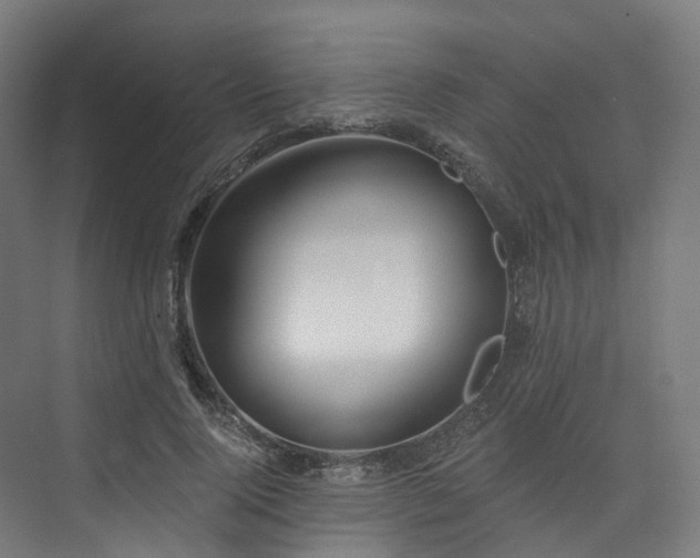X0000074960740200609011146