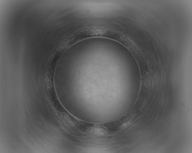 X0000074960743200609011146