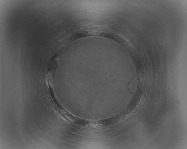 X0000074960745200609011146