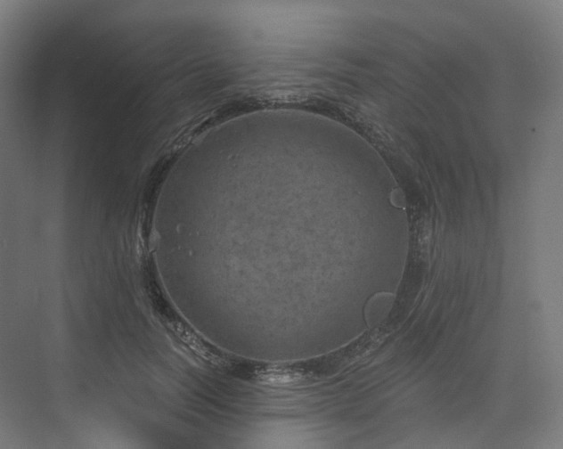 X0000074960746200609011146