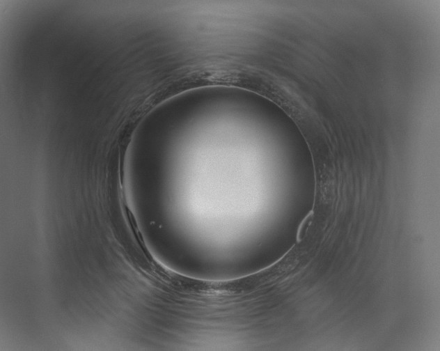 X0000074960748200609011146